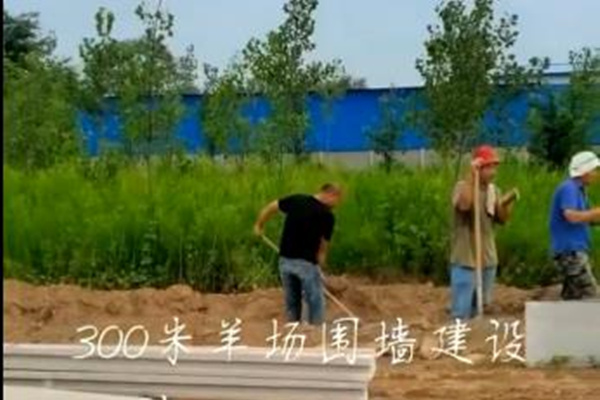 内蒙300米羊圈水泥板围墙安装建设案例实景图 内蒙300米羊圈水泥板围墙安装建设案例实景图