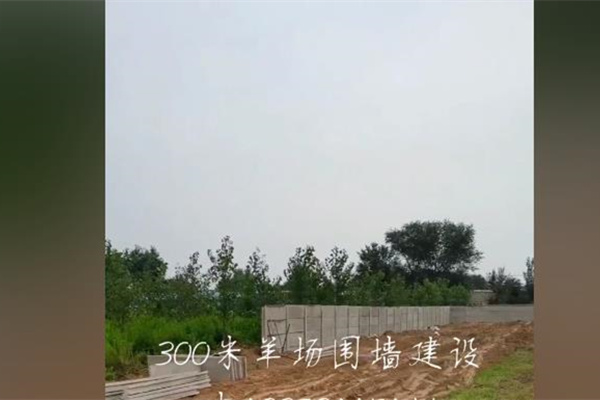 山西水泥板围墙建设羊圈围墙施工现场图 
