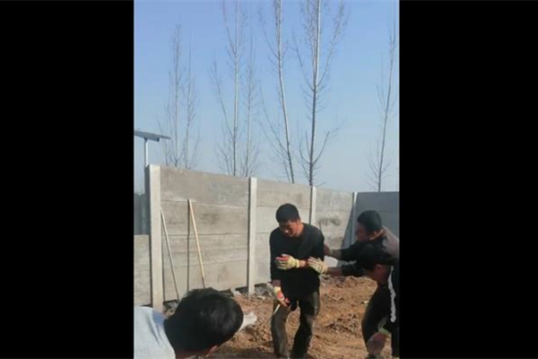 开封养殖厂水泥板围墙建设安装过程案例实拍图二 开封养殖厂水泥板围墙建设安装过程案例实拍图二